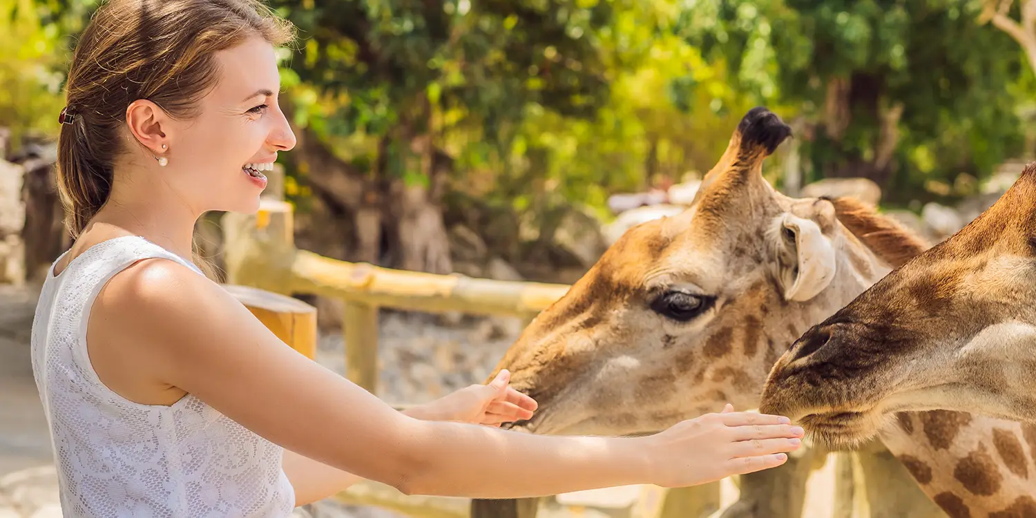 Women and giraffe